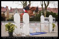Vente de cheval : Iliam de Kerlyris