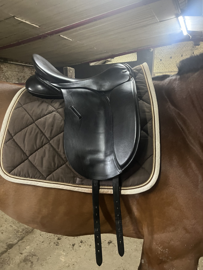 Vente de selle 244
