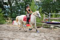 Vente de cheval : tricheuse brousse