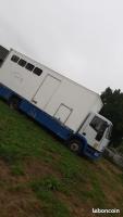Camions chevaux