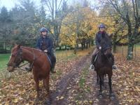 Randonnes questres 