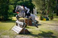 Vente de cheval : Victoria?s Pride AA