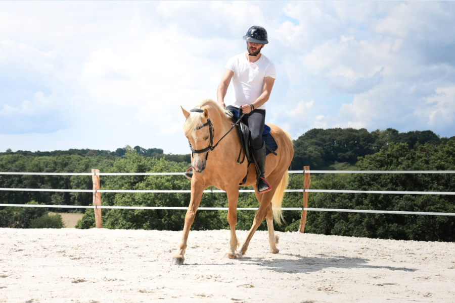 Vente de poney