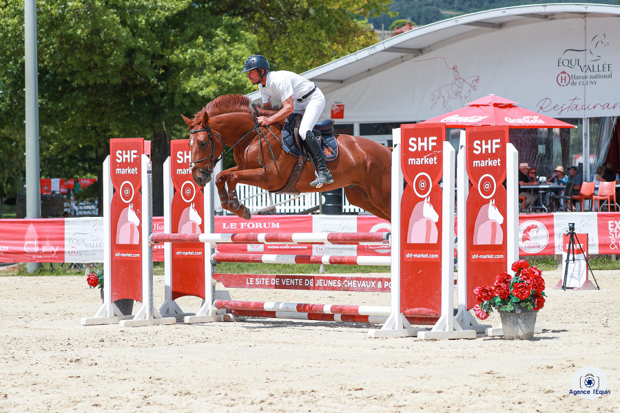 Vente de cheval : Kerala de Ragy