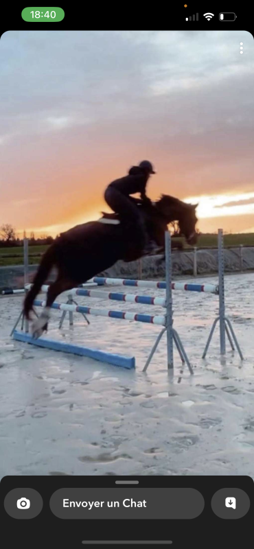 Vente de cheval : Iairzel au heup