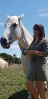 Vente de cheval : Agel
