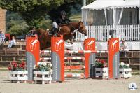 Vente de cheval : CAP ROCK
