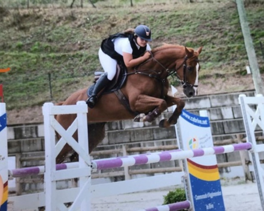Vente de cheval : As du Relai 