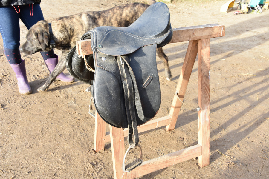 Selle poney equip horse