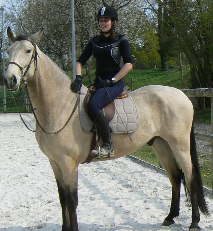 A reserver SF in utero palomino / isabelle