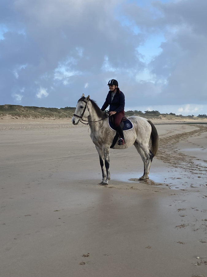 Vente de cheval : GREY