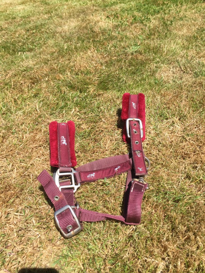 A vendre matériel équestre | ChevalAnnonce.com