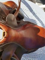 Vente de selle 258