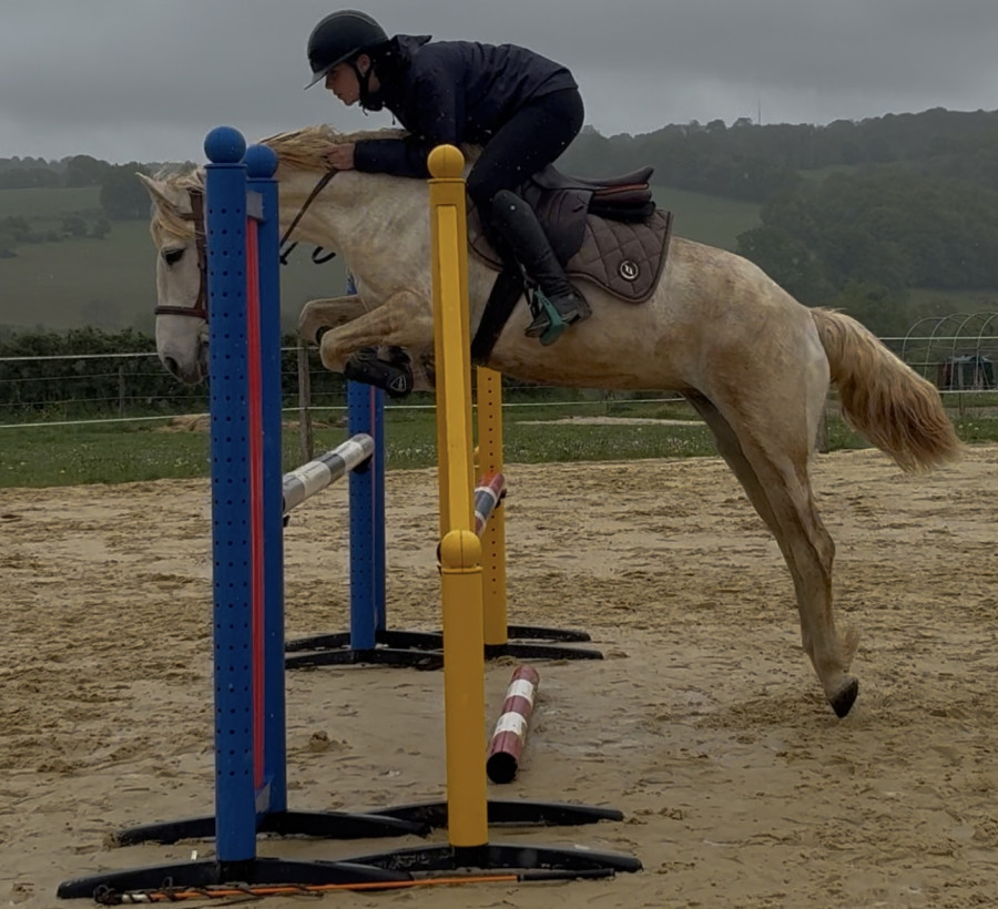 Vente de poney