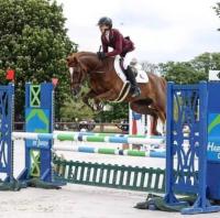 Vente de poney