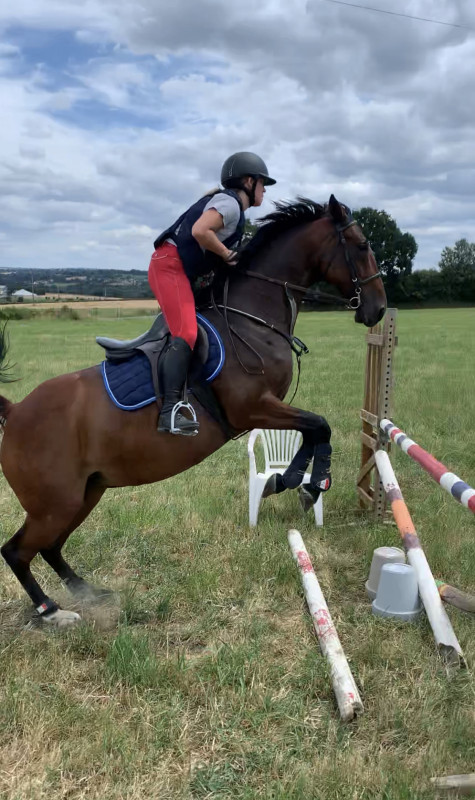 Vente de cheval : Birmanie 