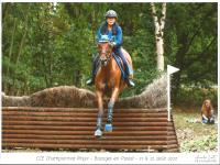 Vente de cheval : Cours d'O Vezauzire
