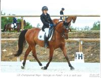 Vente de poney
