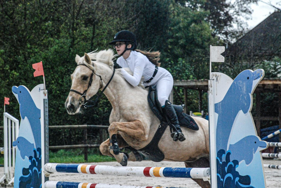 Vente de poney