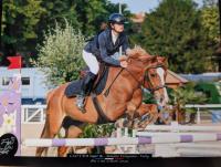 Vente de poney