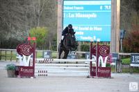 Vente de cheval : MINNEAPOLIS