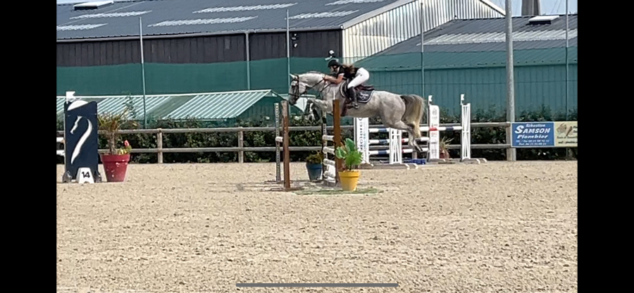 cavalier jeunes chevaux galop 7. CSO