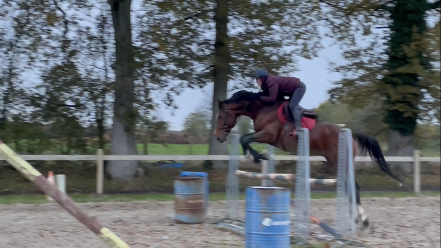 Stagiaire galop 7