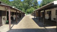 curie du bois de notre dame