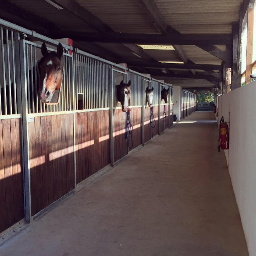 ECURIE A VENDRE / A LOUER (Maine et Loire 49)