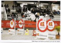 Vente de poney