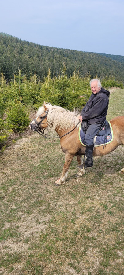 Vente de poney