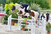 Vente de cheval : ENVOL Van de Rib