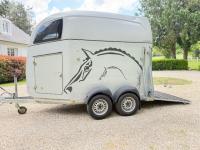 Vans chevaux