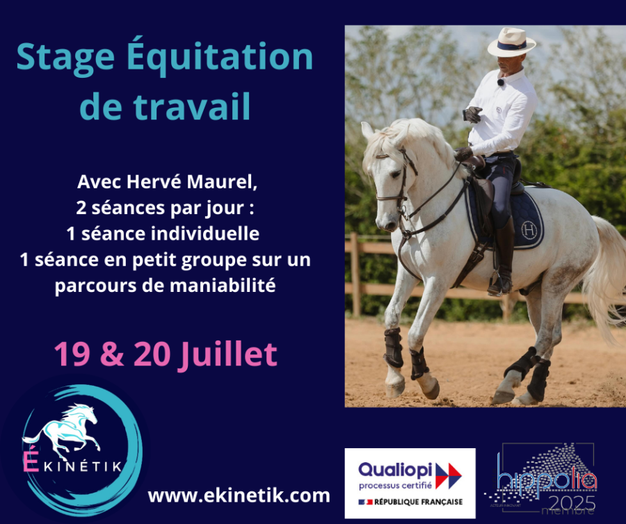 Stage d'quitation de travail avec Herv Maurel