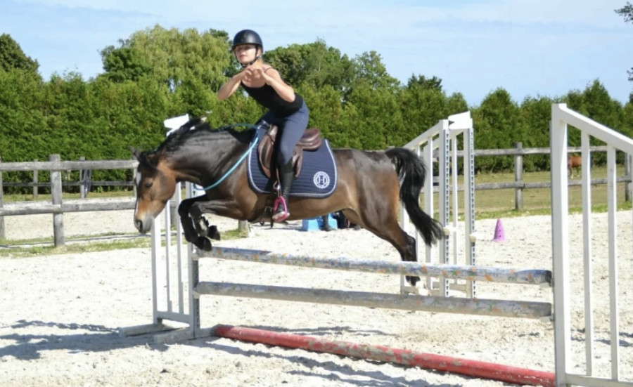 Vente de cheval : My litlle rock des collines