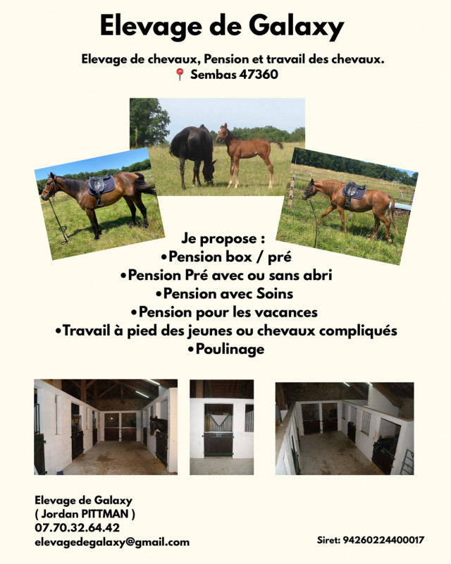 Eleveur