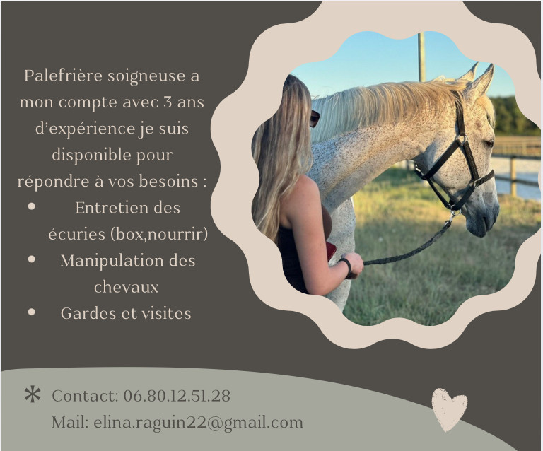 Palefrenire soigneuse auto entrepreneur