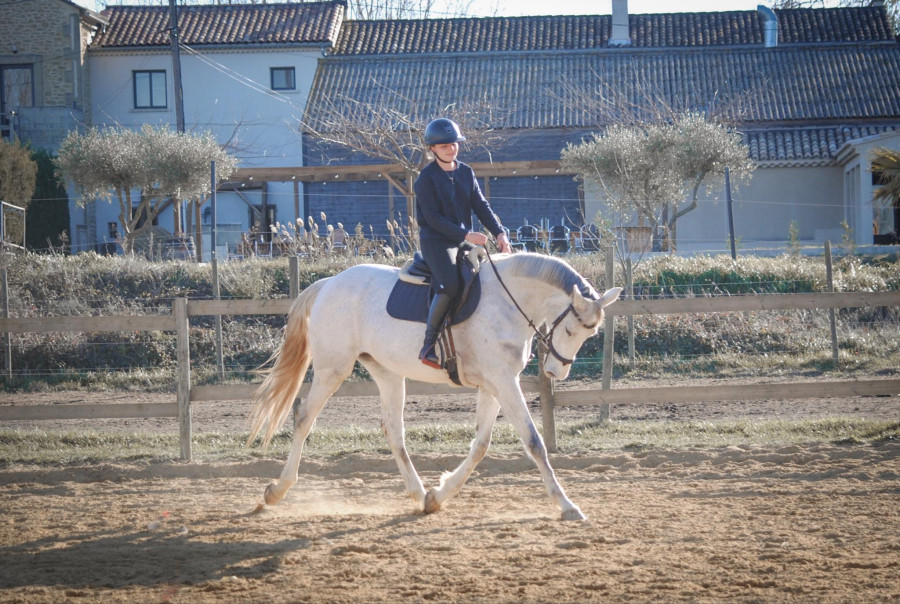 Vente de cheval : Gwenn Pepey 