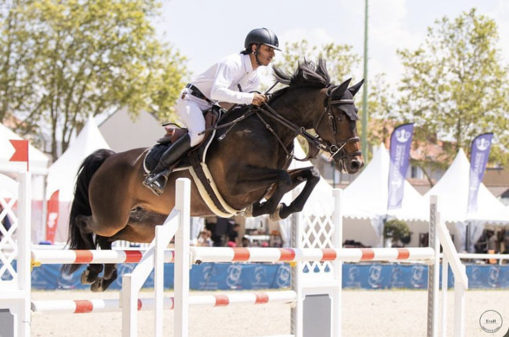 Vente de cheval : Fline de Chasnay