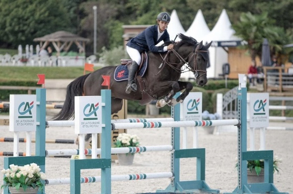 Vente de cheval : Figaro Salettes