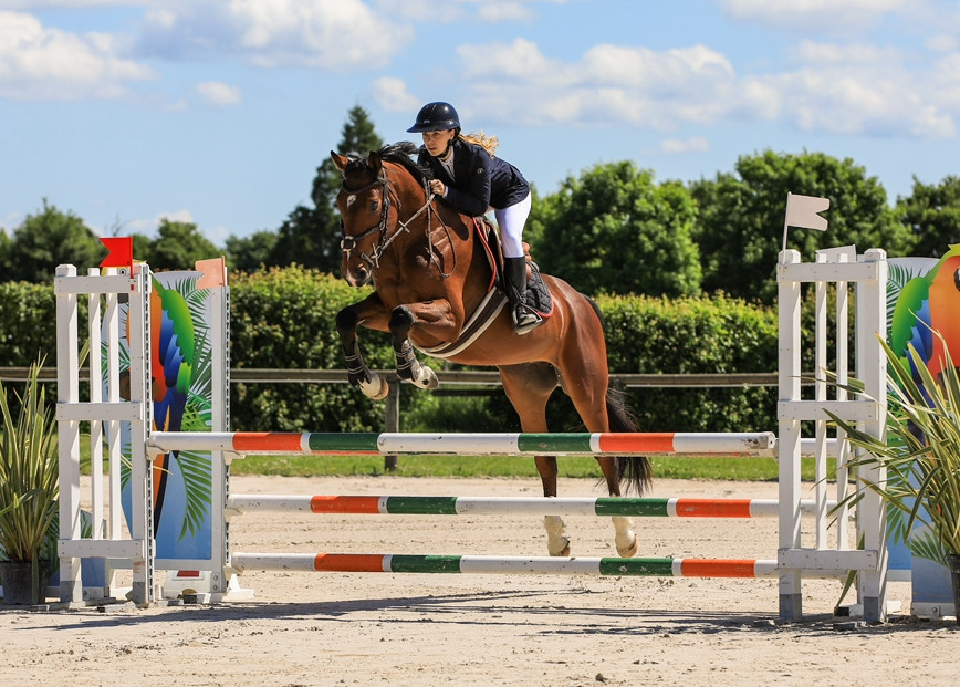 Vente de cheval : Lemon des Perchats 