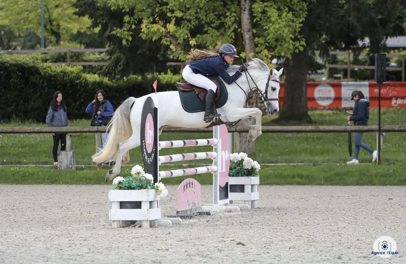 Vente de poney