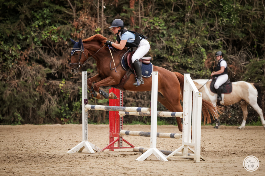 Vente de cheval : Just boom du clos 