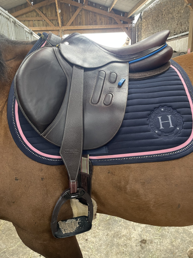 Vente de selle 255