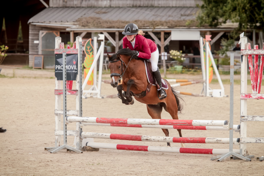 Vente de poney