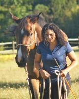 Cours / travail du cheval - quitation thologique