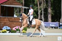 Vente de poney