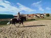 Vente de cheval : Prunelle