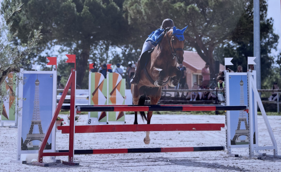 Vente de cheval : Hliaque du Vernay