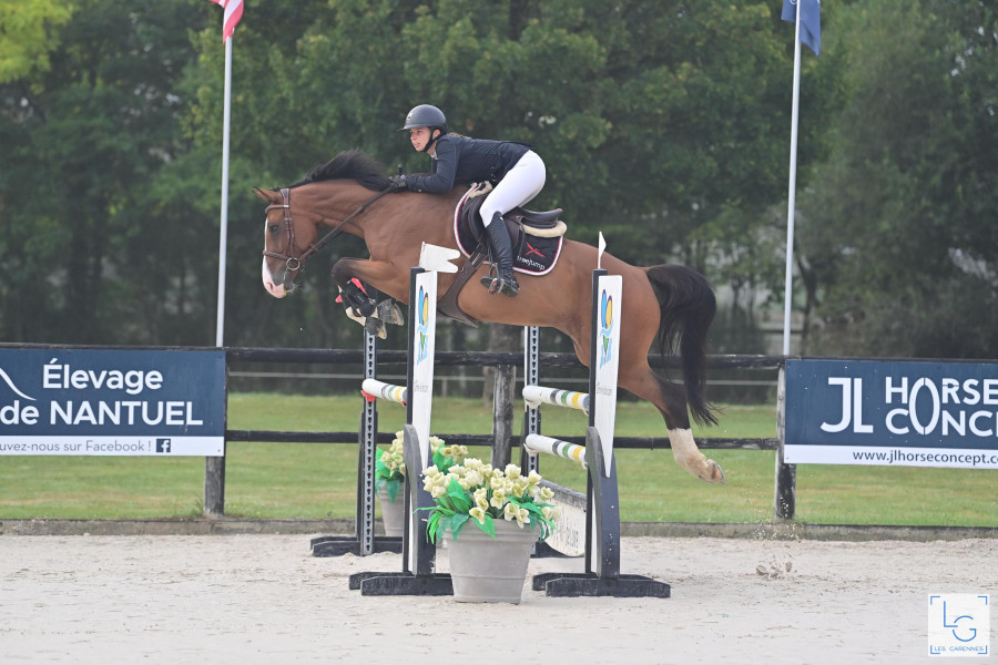 Vente de cheval : Charmeur de poteau z 